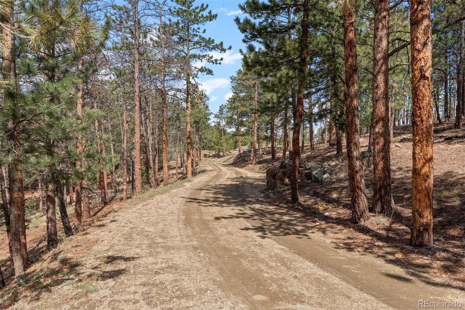 442 Ruby Forest Trail