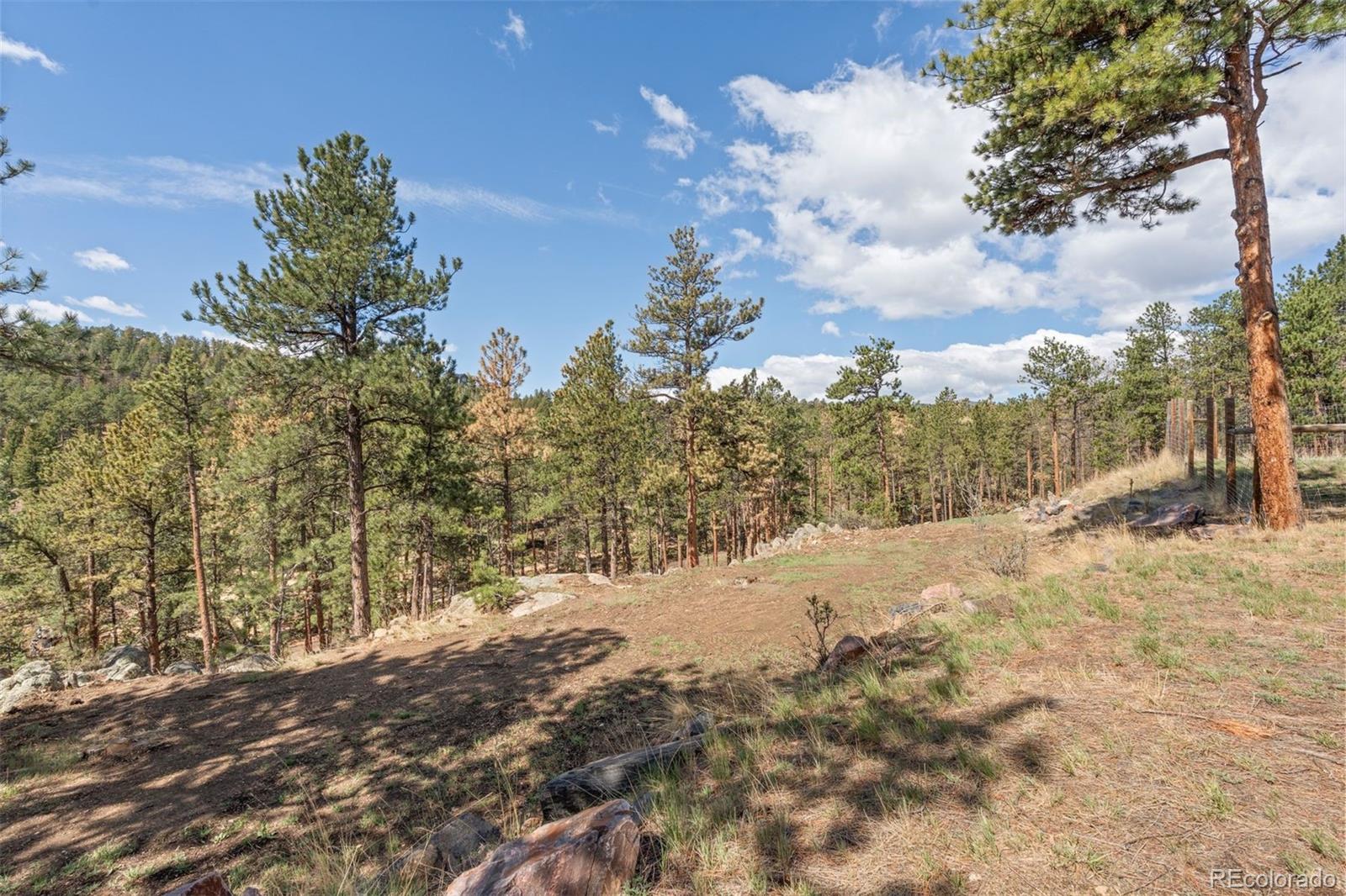 442 Ruby Forest Trail