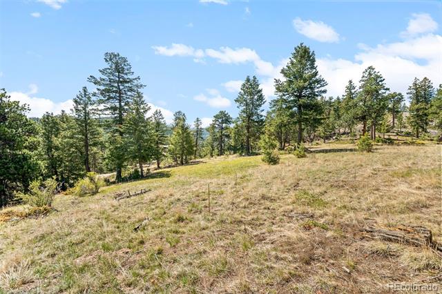 6351 Canyon Creek Road