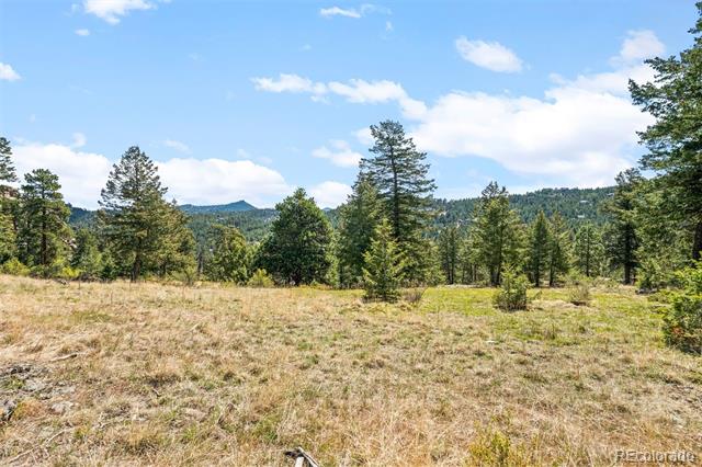 6351 Canyon Creek Road