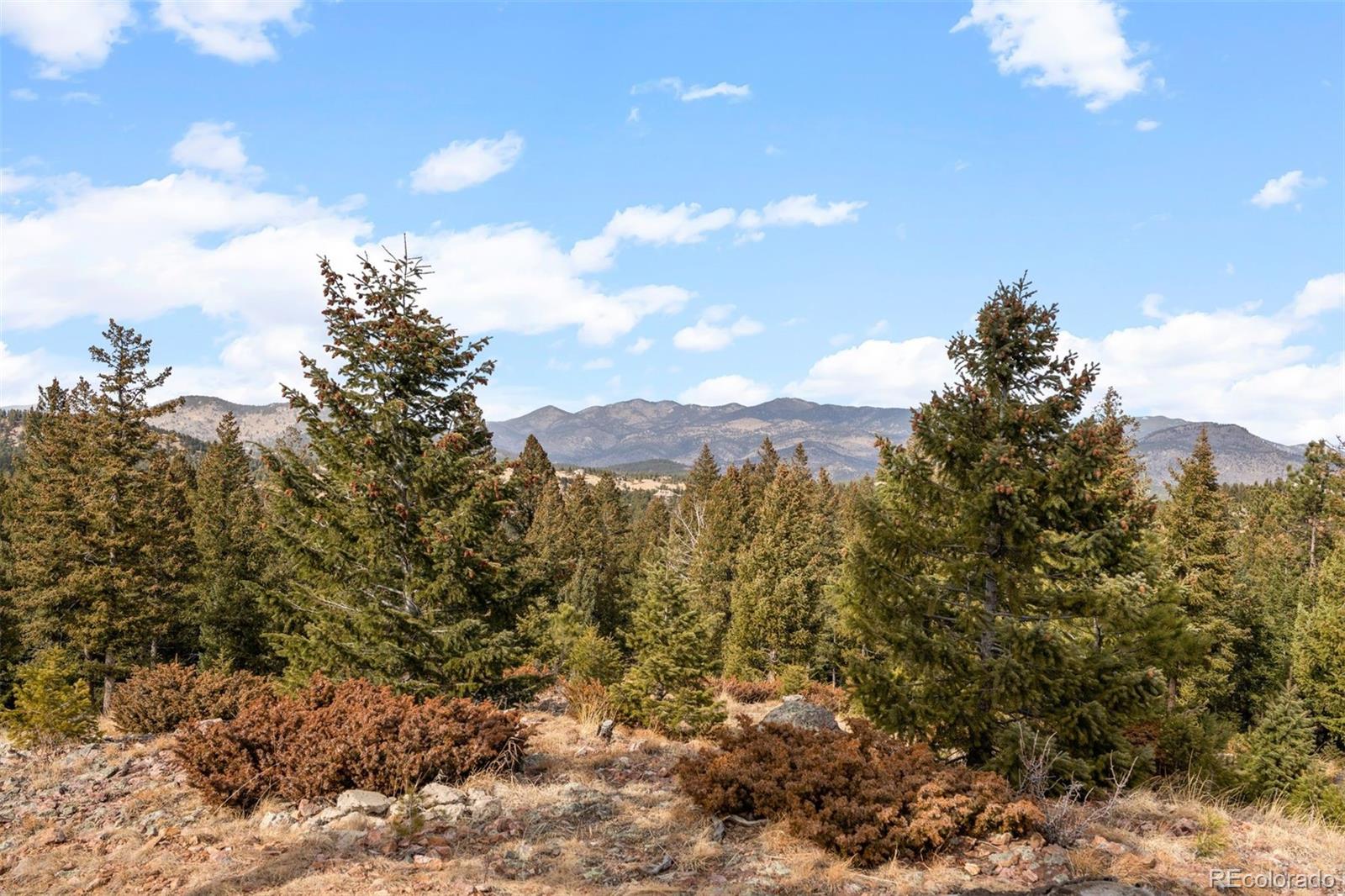 32581 Meadow Mountain Road