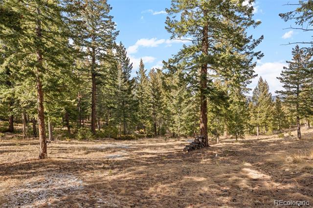32581 Meadow Mountain Road