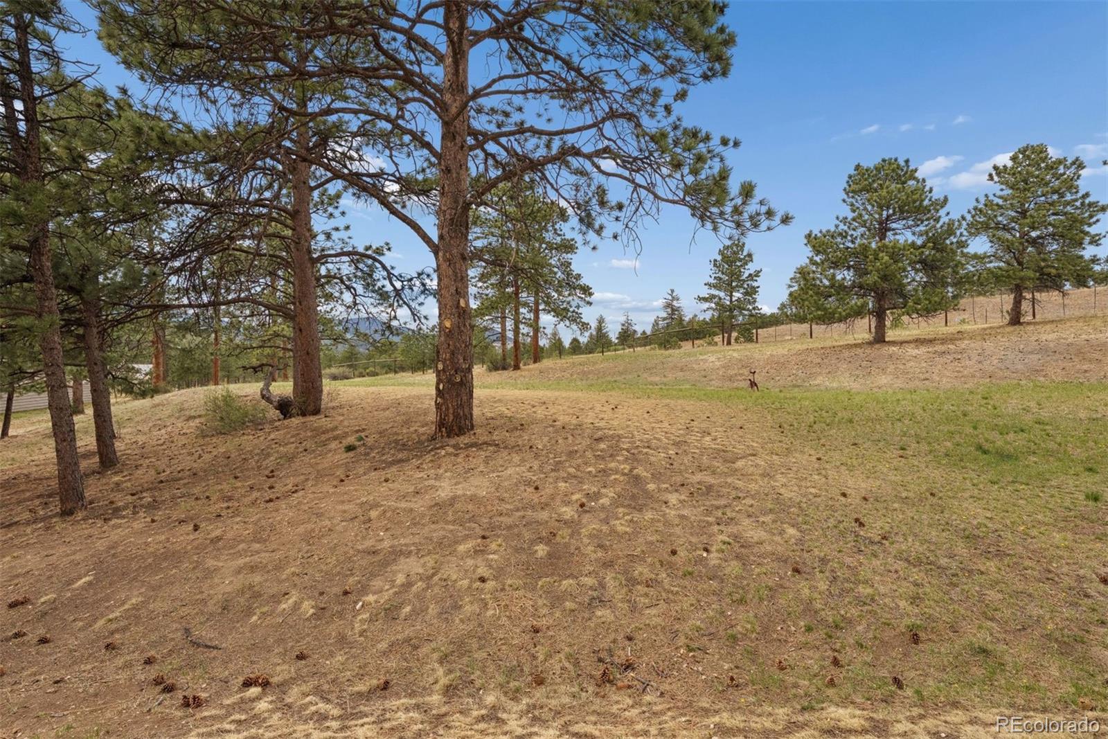 31819 Rocky Village Drive Unit: 101
