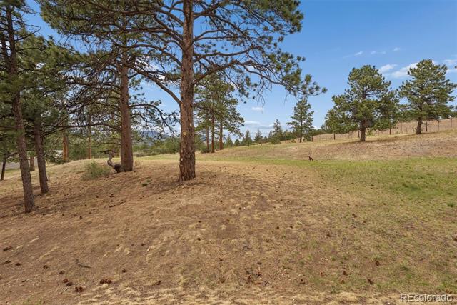 31819 Rocky Village Drive Unit: 101