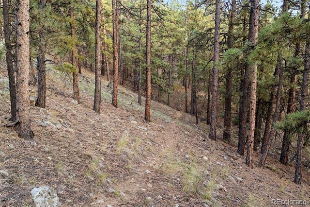 2040 Kerr Gulch Road
