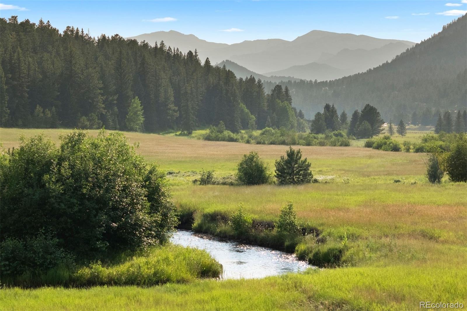 80 Elk Crossing
