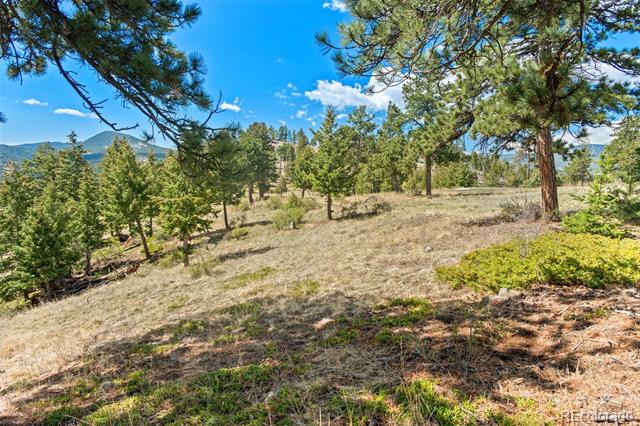 6361 Canyon Creek Road