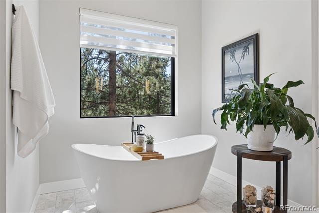 28248 Lone Elk Trail