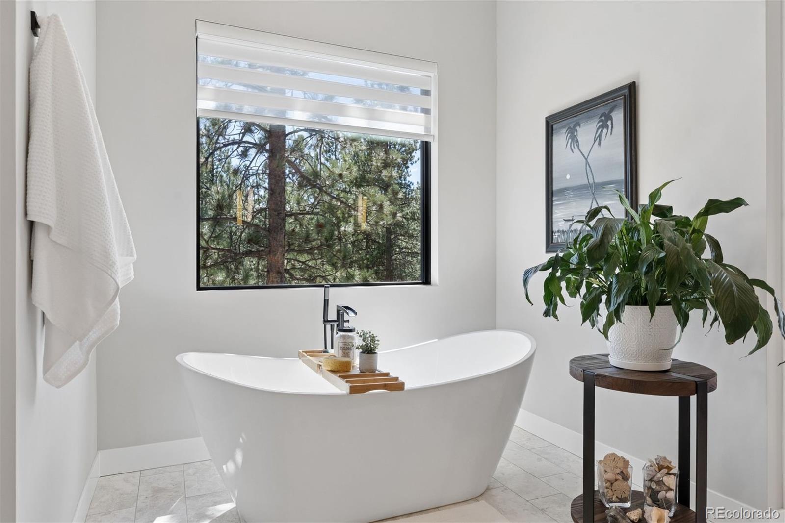28248 Lone Elk Trail