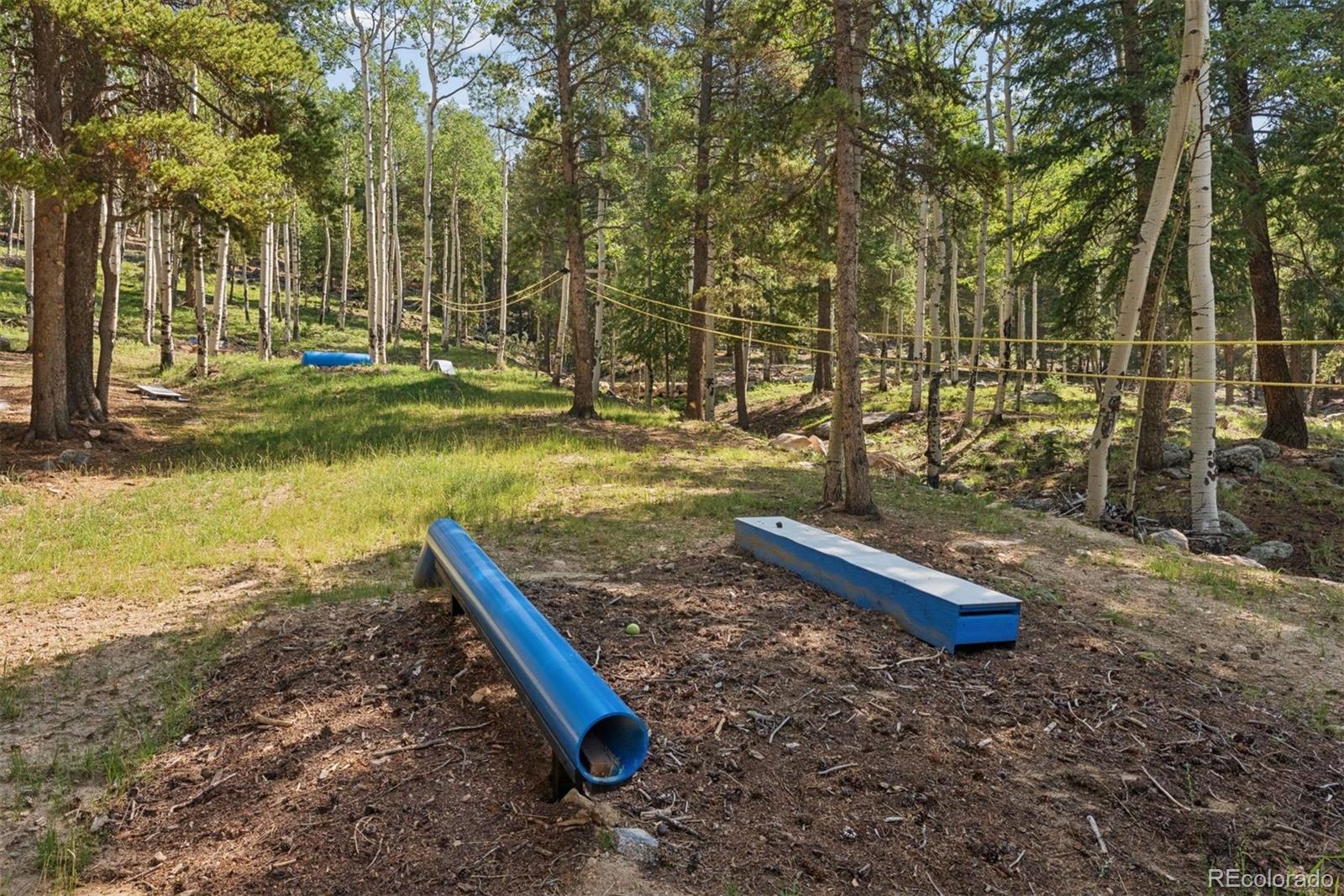 11102 Conifer Mountain Road