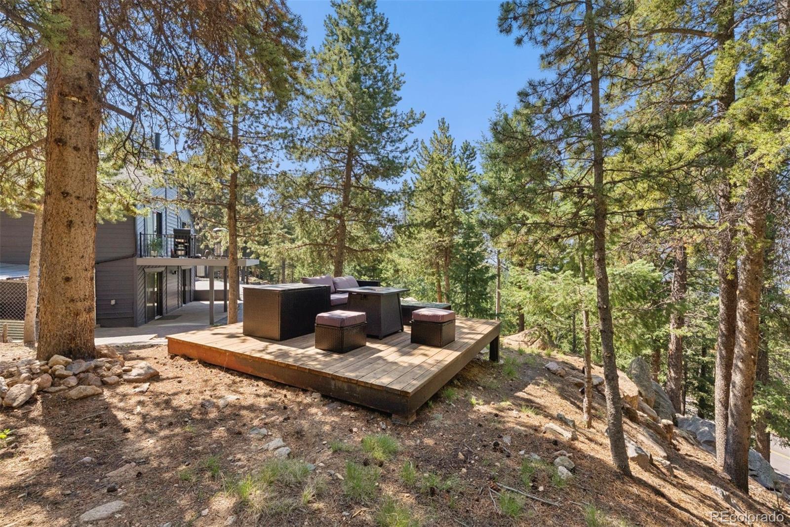 11102 Conifer Mountain Road