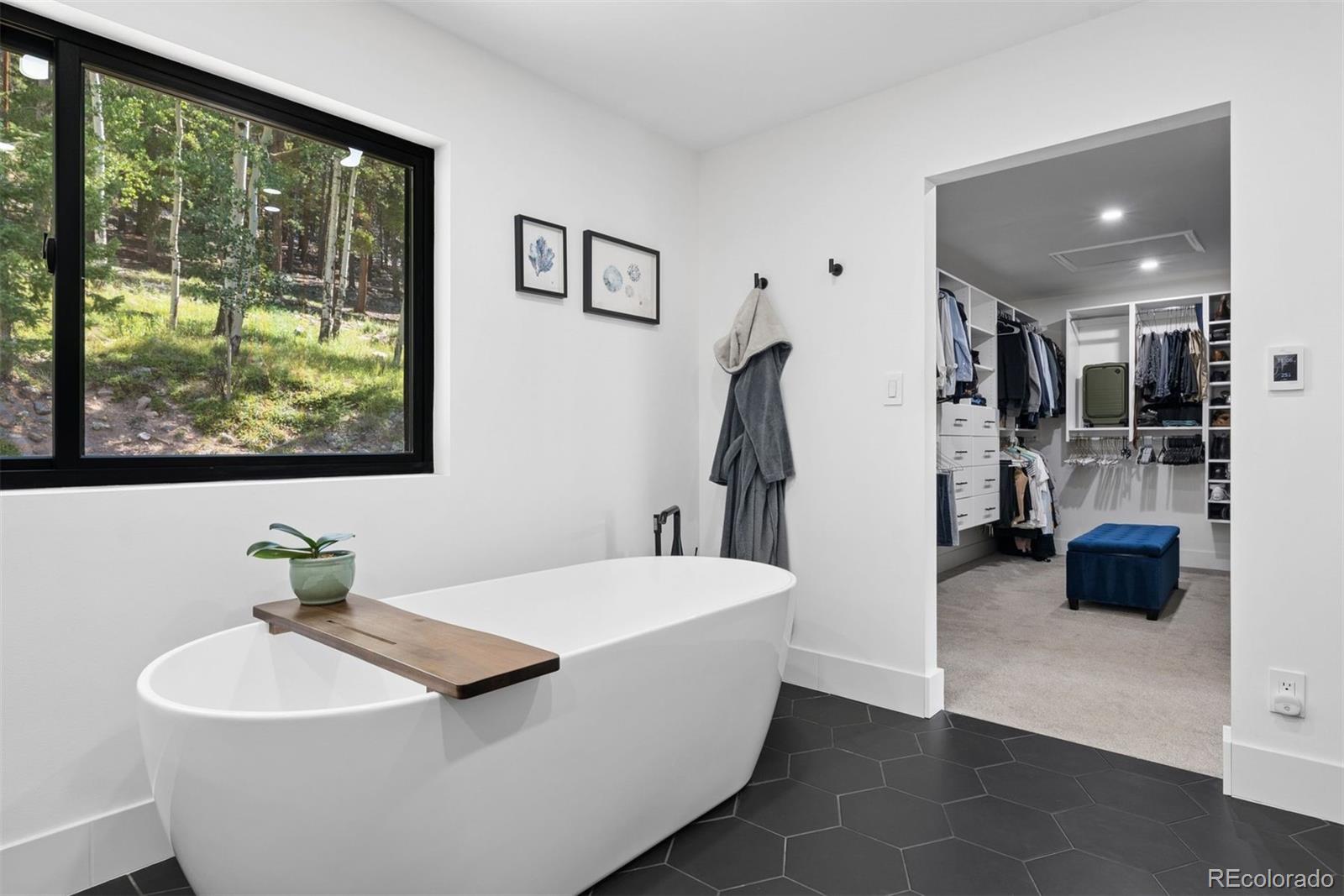 11102 Conifer Mountain Road