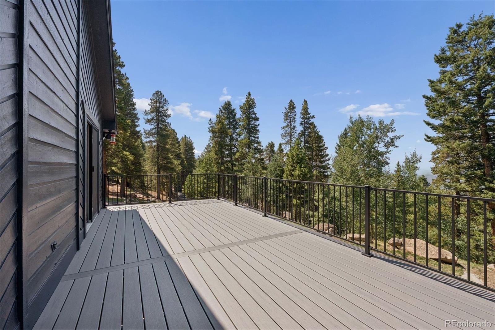 11102 Conifer Mountain Road