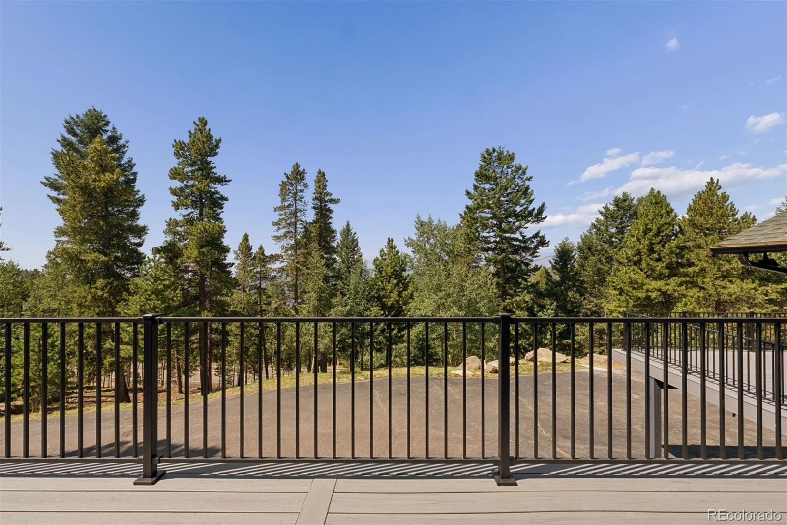 11102 Conifer Mountain Road