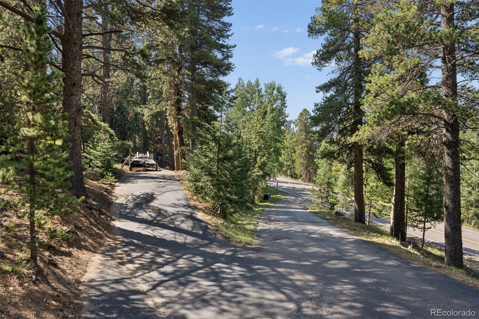 11102 Conifer Mountain Road