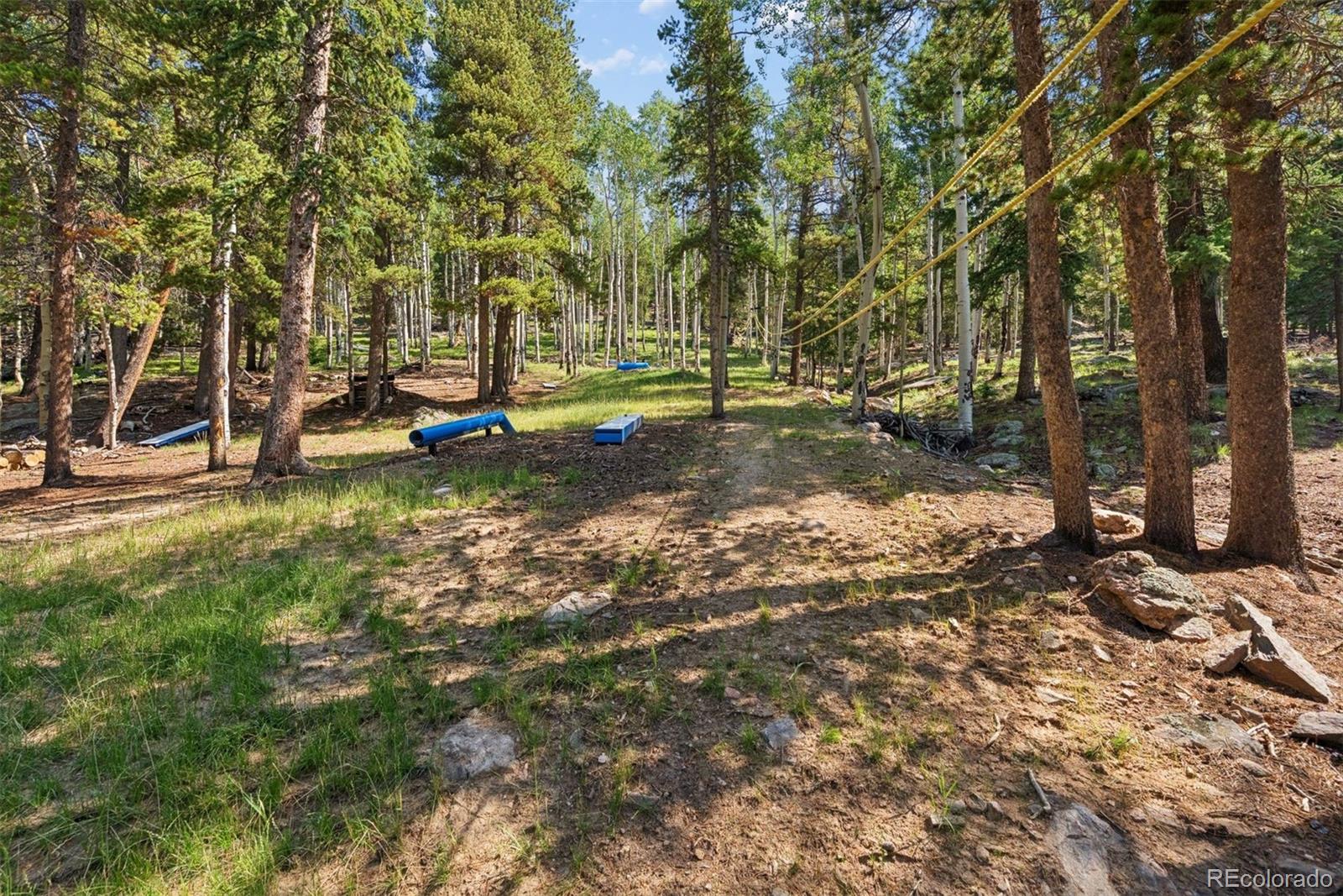 11102 Conifer Mountain Road