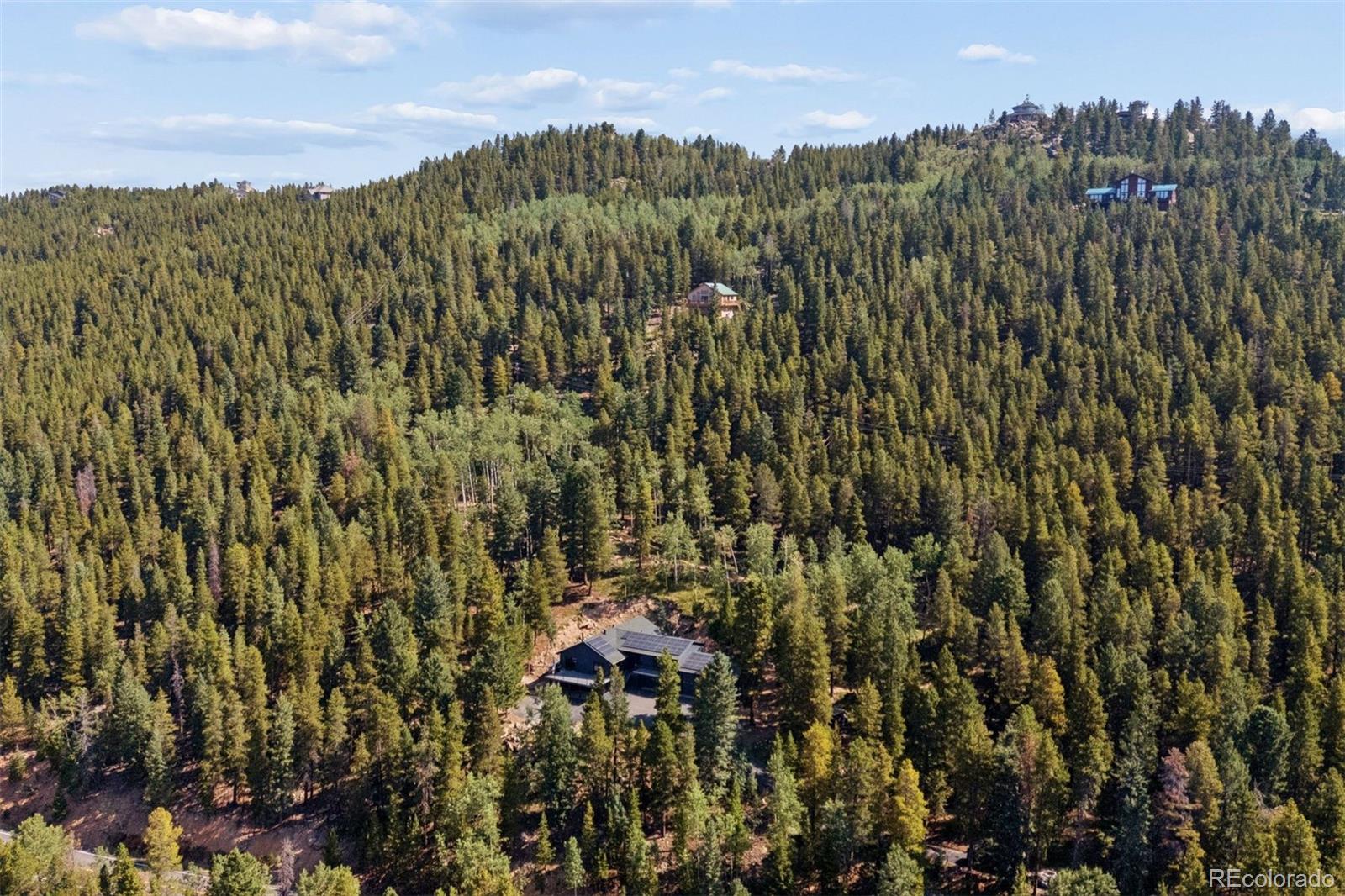 11102 Conifer Mountain Road