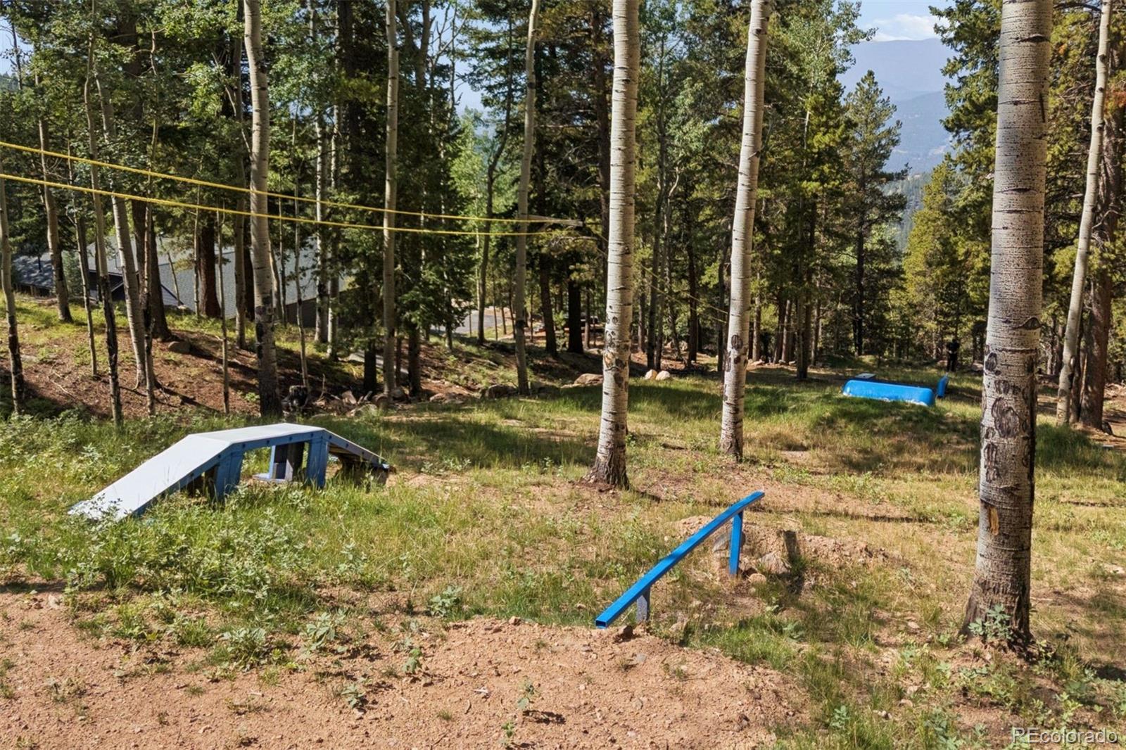 11102 Conifer Mountain Road