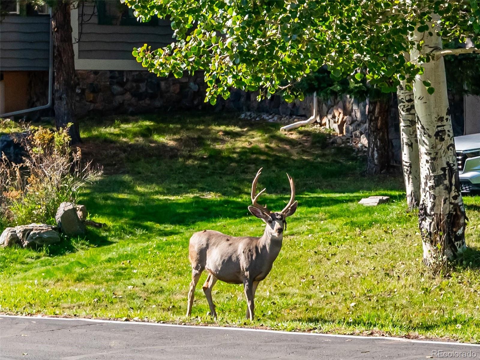 31719 Rocky Village Drive Unit: 311