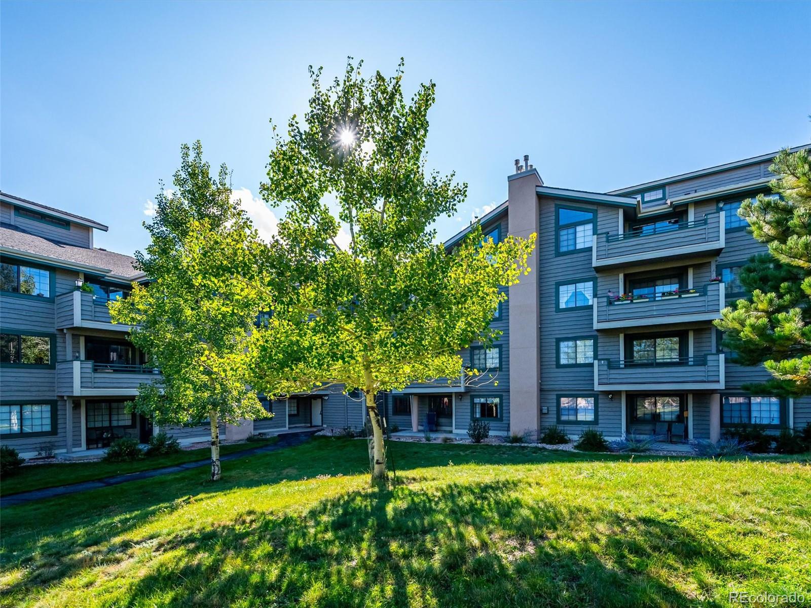 31719 Rocky Village Drive Unit: 311