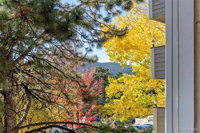 31719 Rocky Village Drive Unit: 111