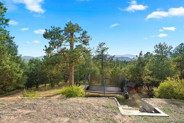 28764 Wild Rose Drive
