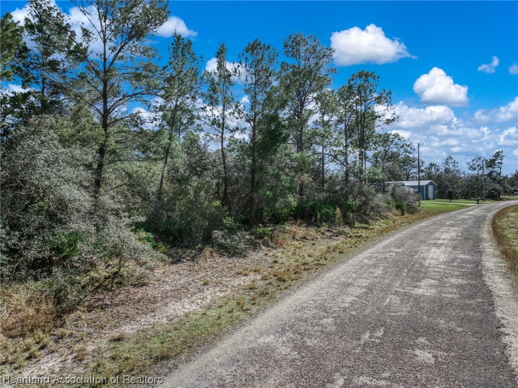 941 Rhododendron Road