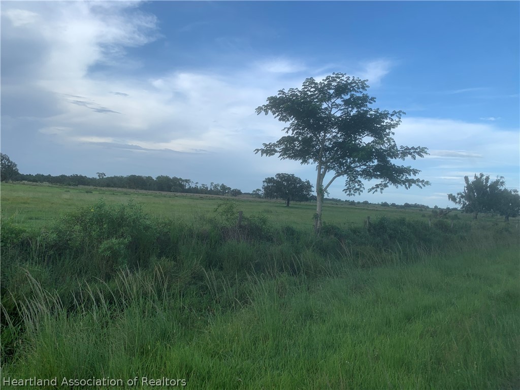 1004 Platt creek Rd.