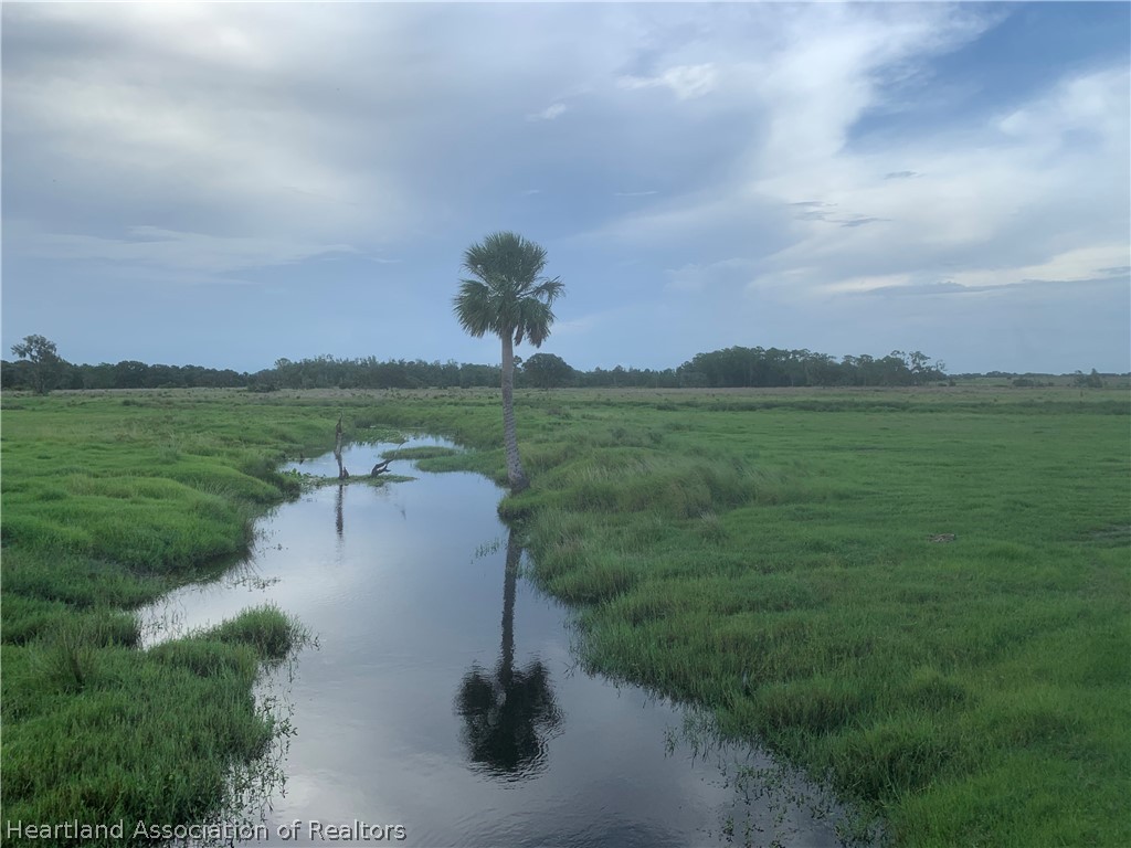 1004 Platt creek Rd.