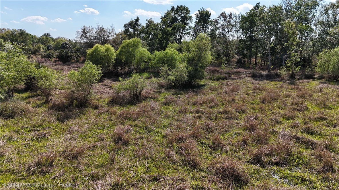 175 Golden Oaks Road