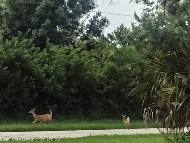 1313 Blue Heron Drive