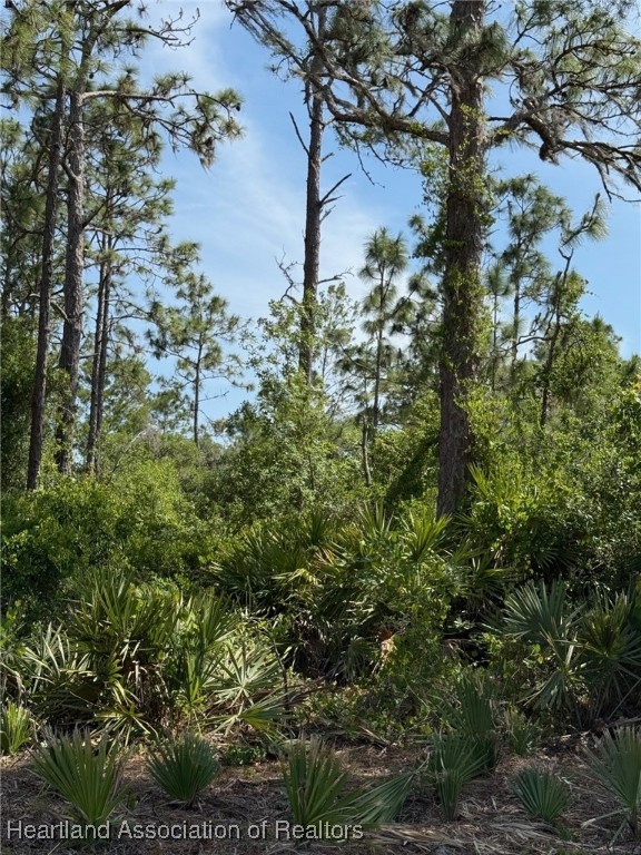 4125 Grand Concourse