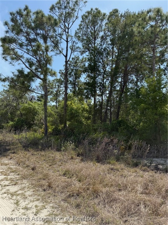 4125 Grand Concourse