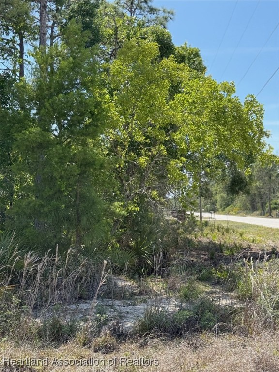 4125 Grand Concourse