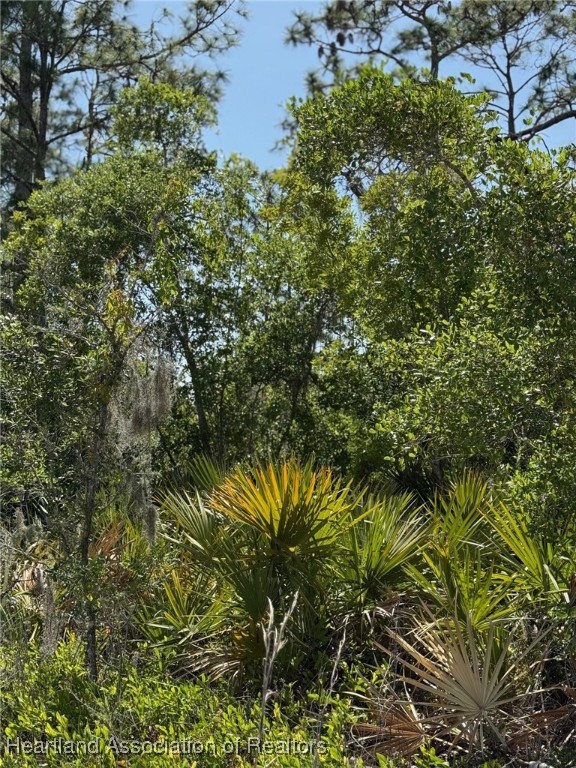 4125 Grand Concourse