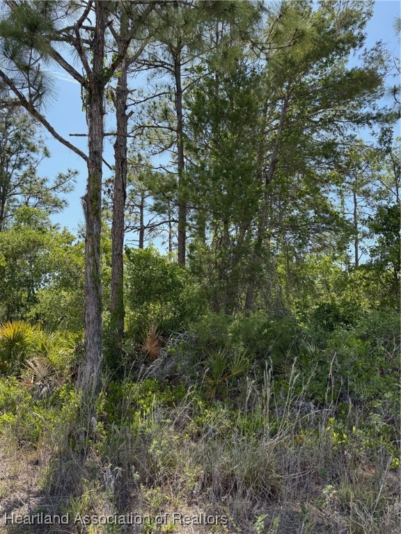 4125 Grand Concourse