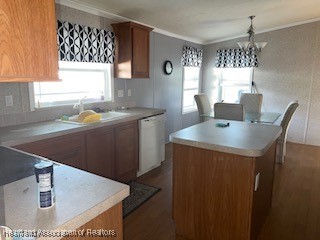 3009 Hammock Terrace