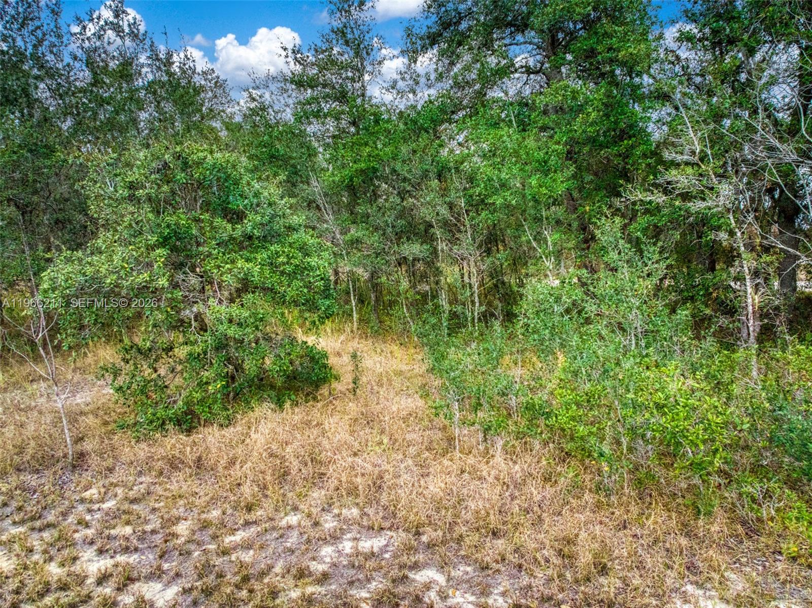 2713 W Hasbrouck Road