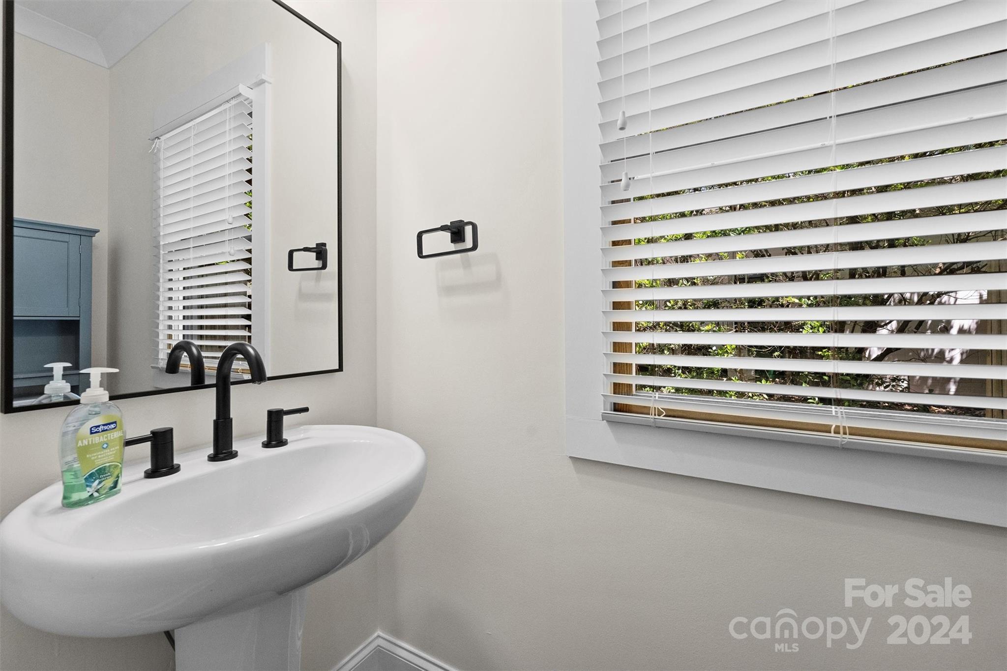 4459 Woodlark Lane
