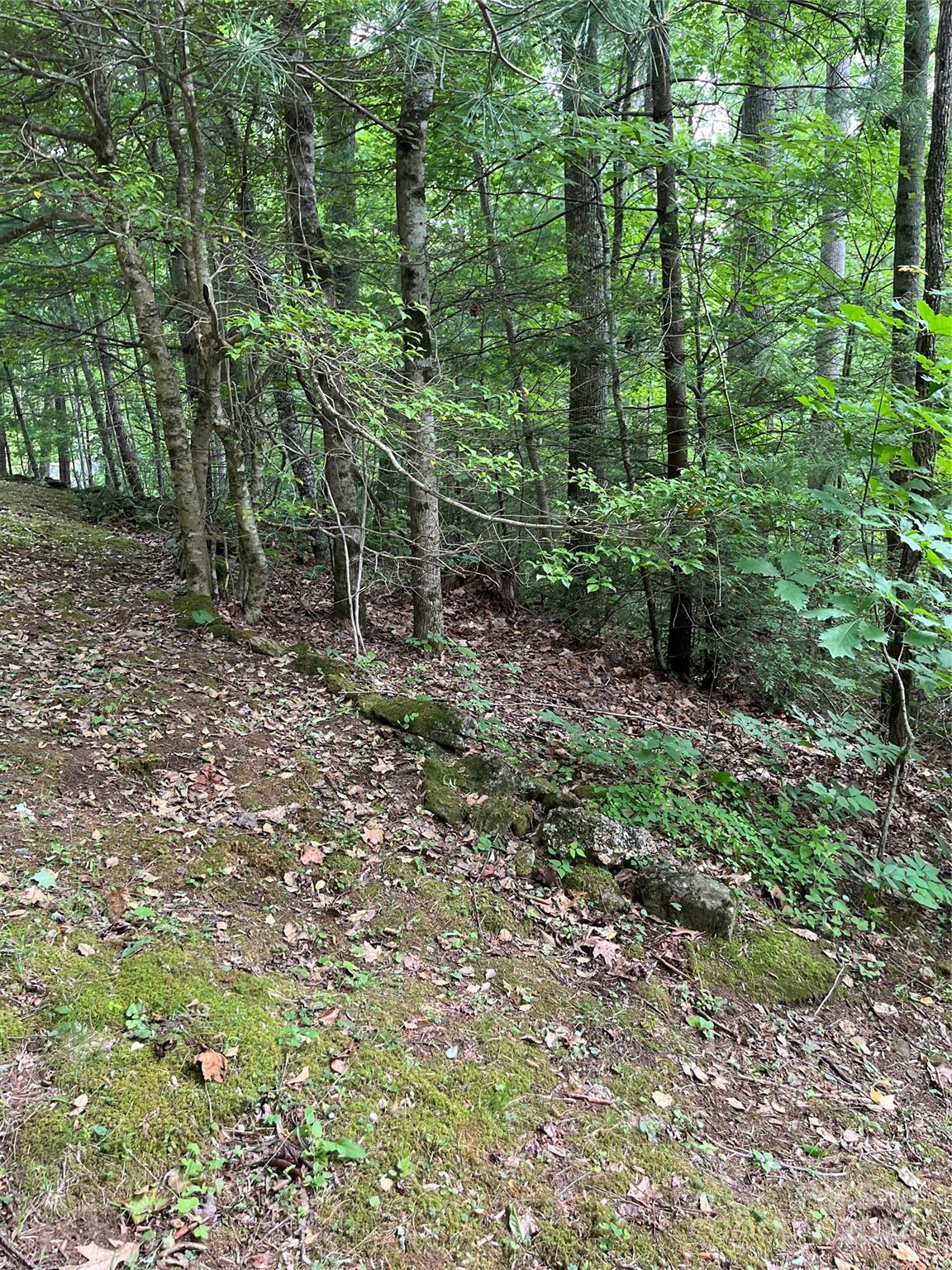 1122 Pine Creek Road