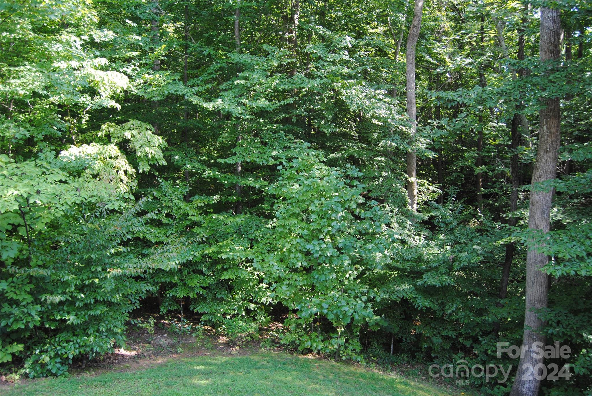 165 Autumn Grove Lane