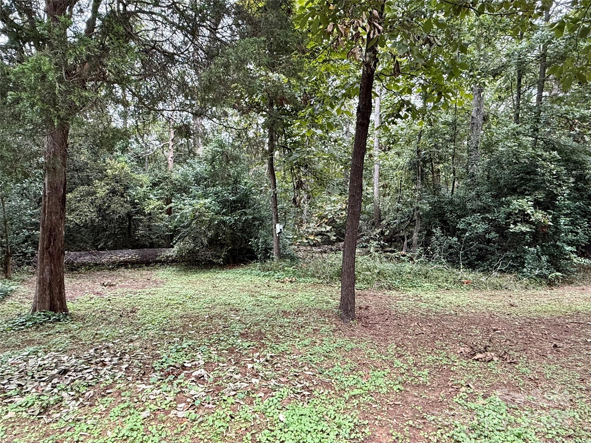 7100 Sythe Court