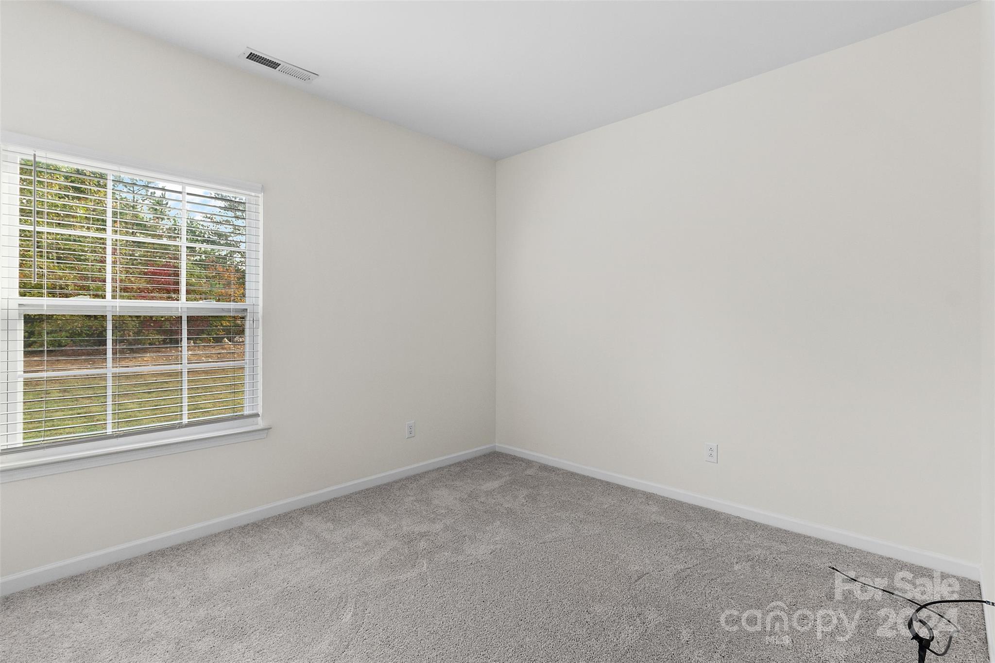 1005 Blessing Drive
