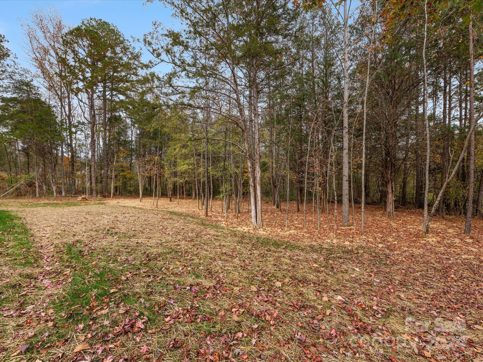8317 Max Meadows Drive