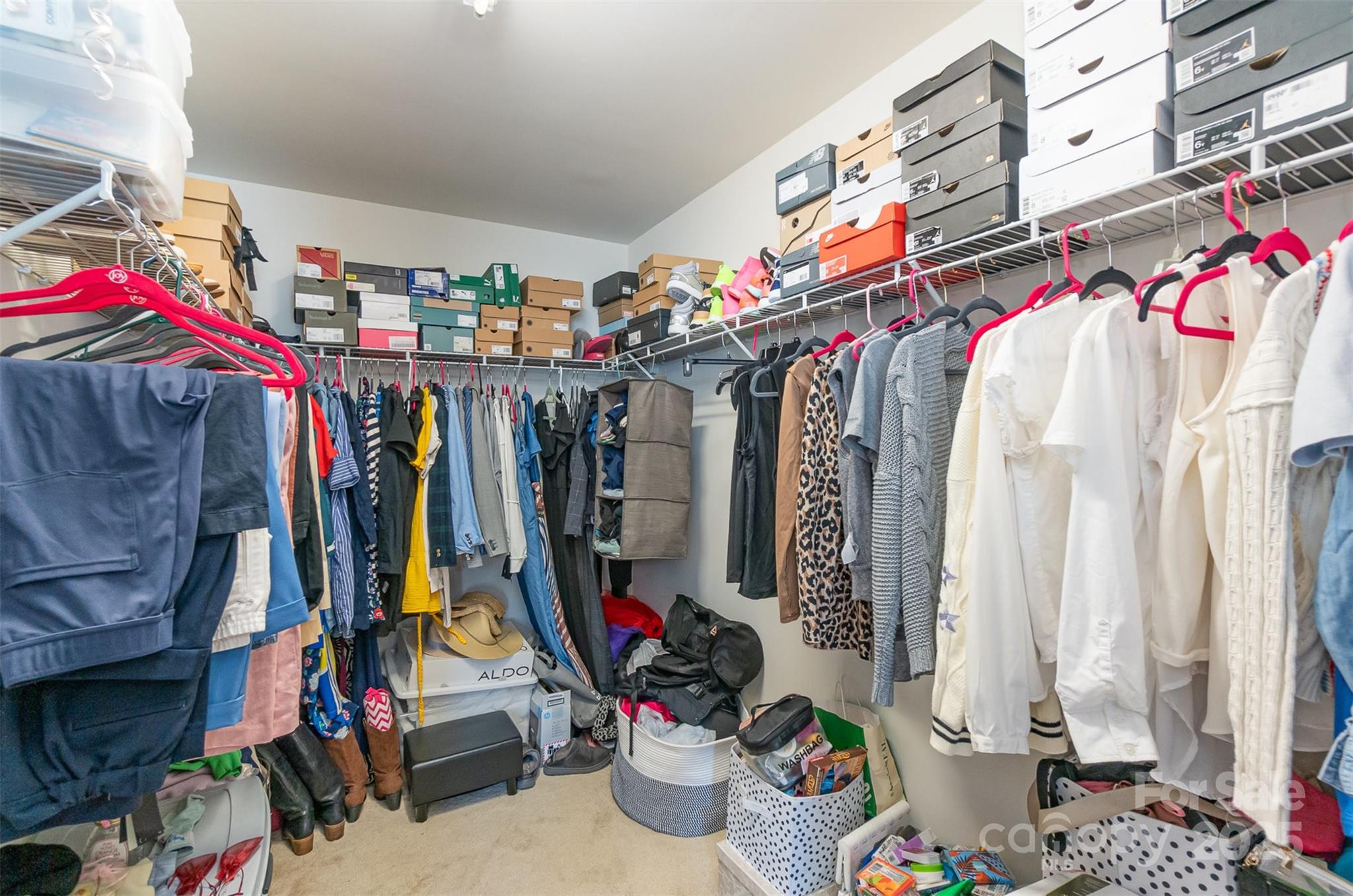 11319 Savannah Creek Drive