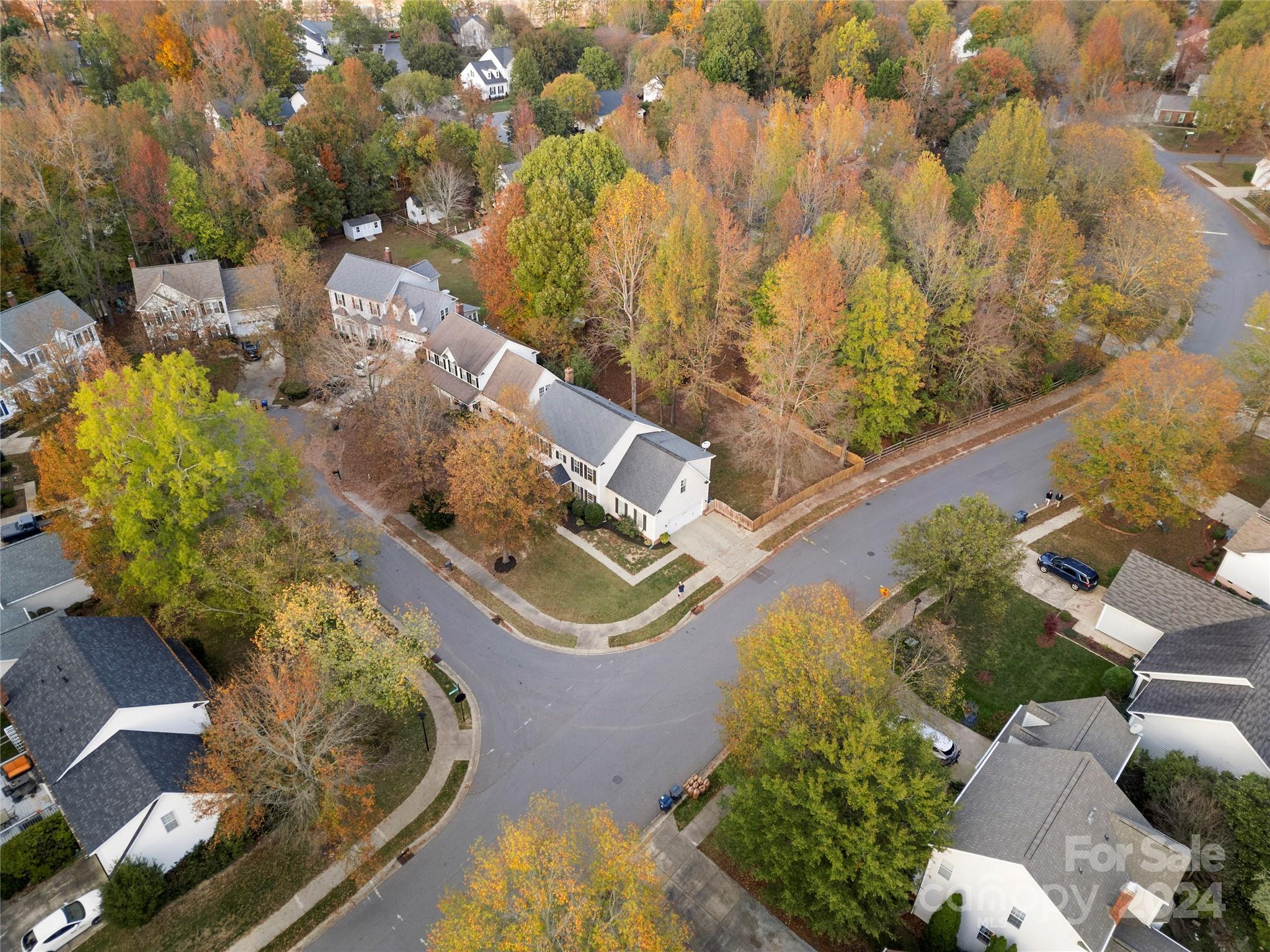 12202 Shiro Court