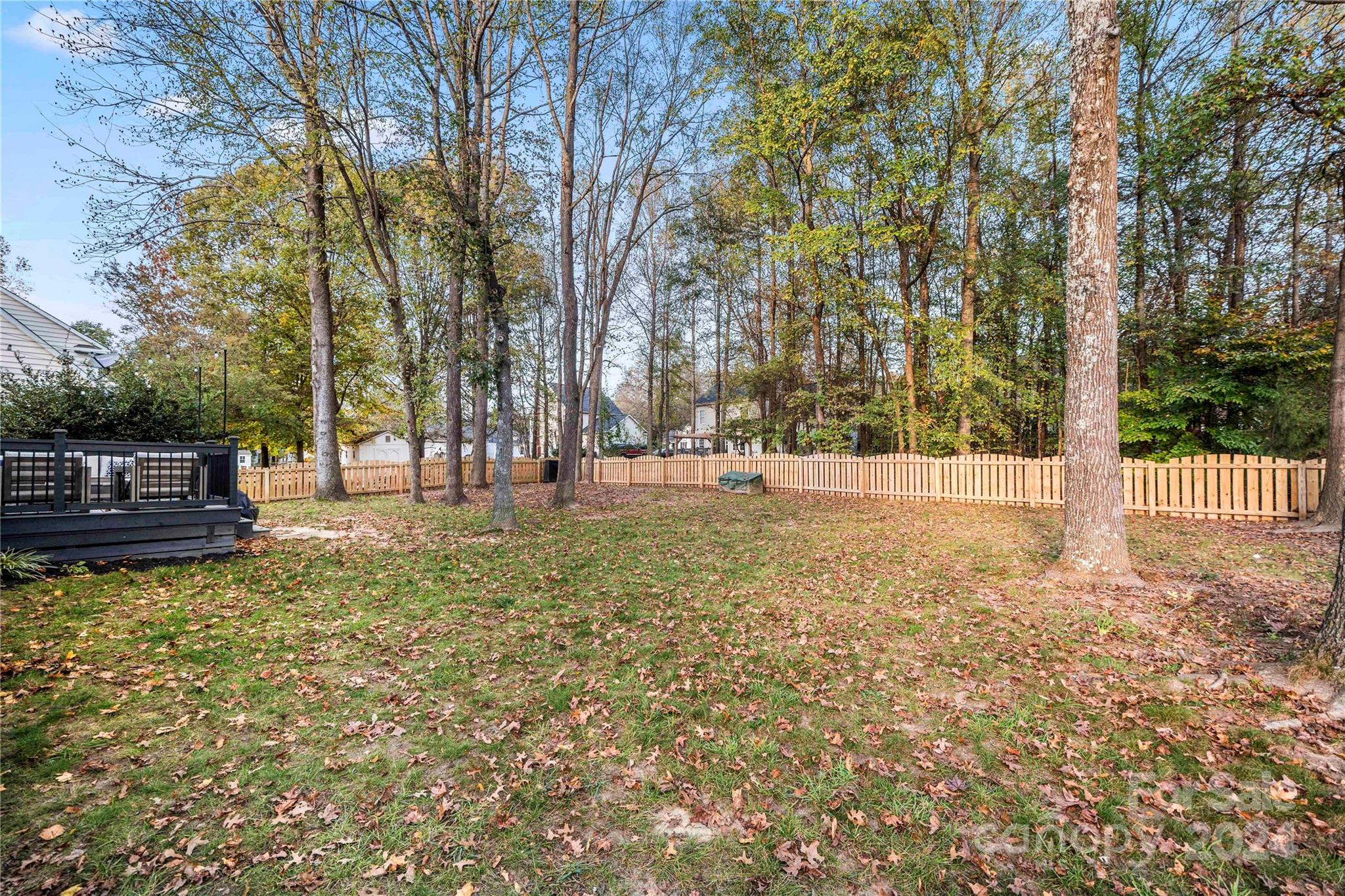 12202 Shiro Court