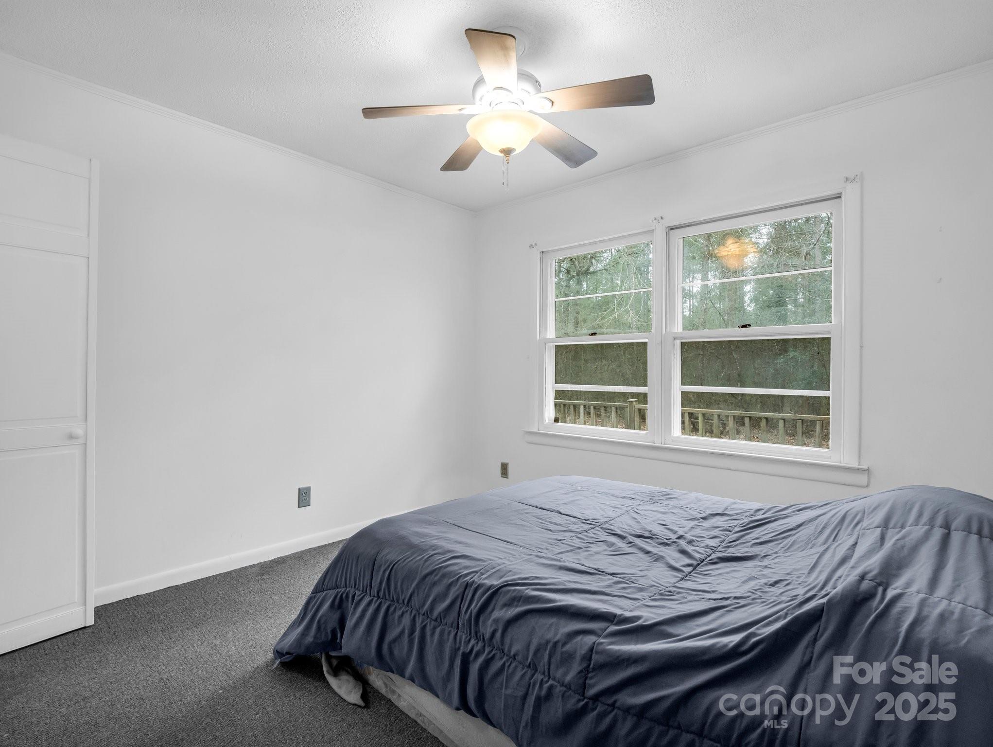 3617 Ken Mcentire Road