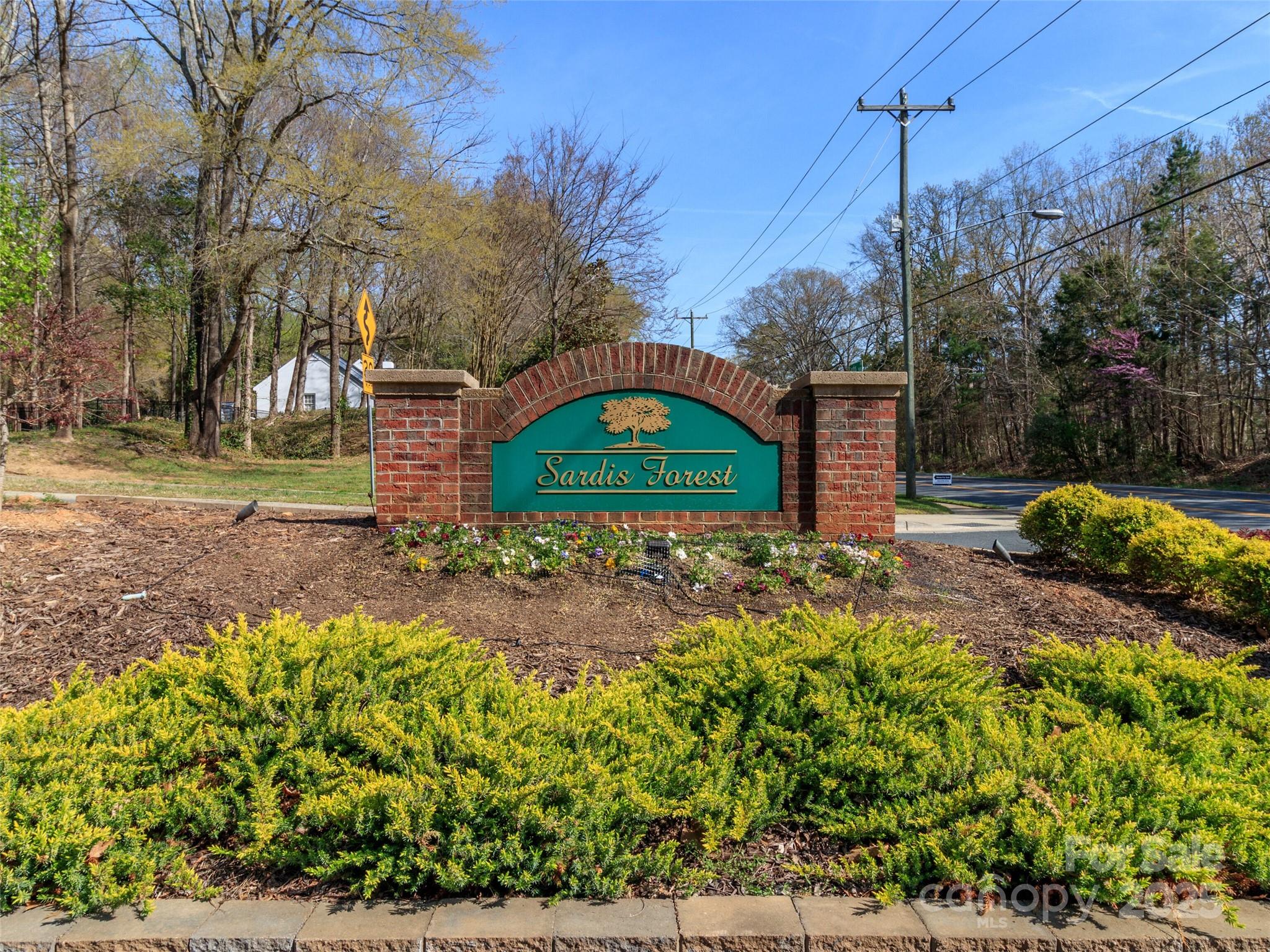 9101 Sardis Forest Drive