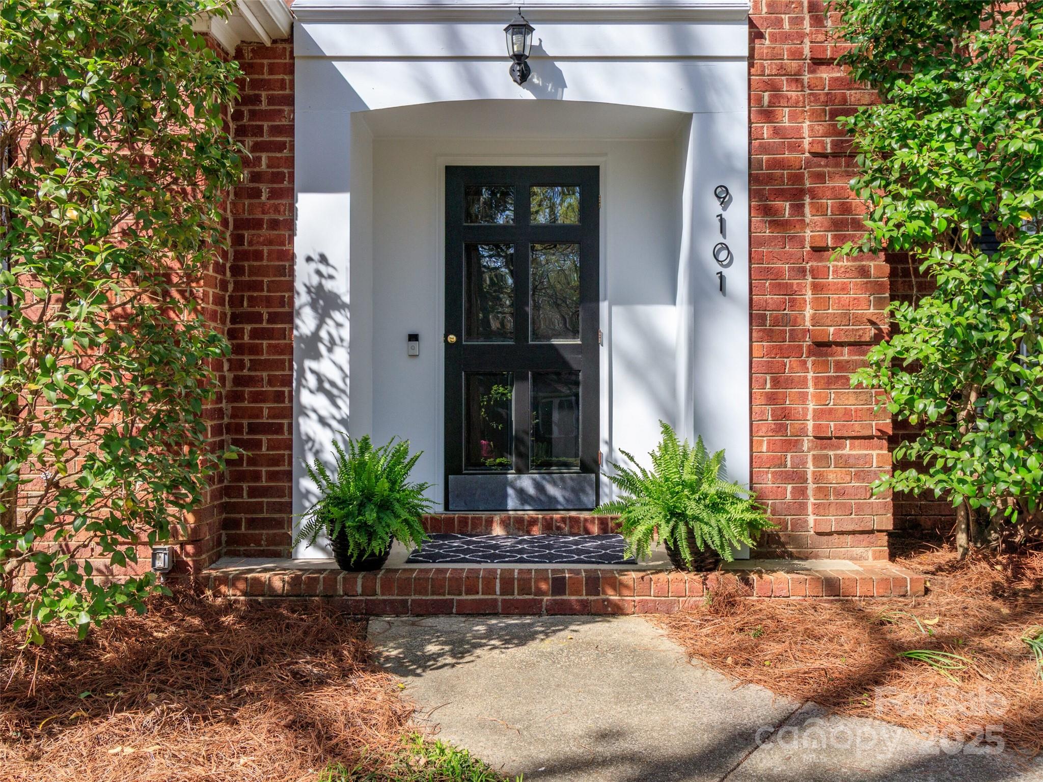 9101 Sardis Forest Drive